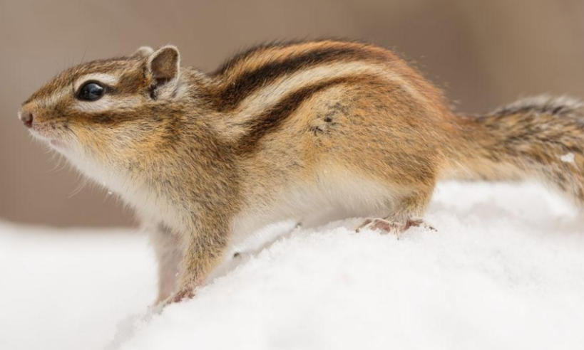 深圳优优叁陆壹网络科技公司轮播图4