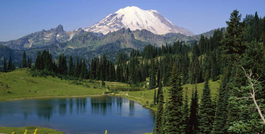 深圳优优叁陆壹网络科技公司轮播图2